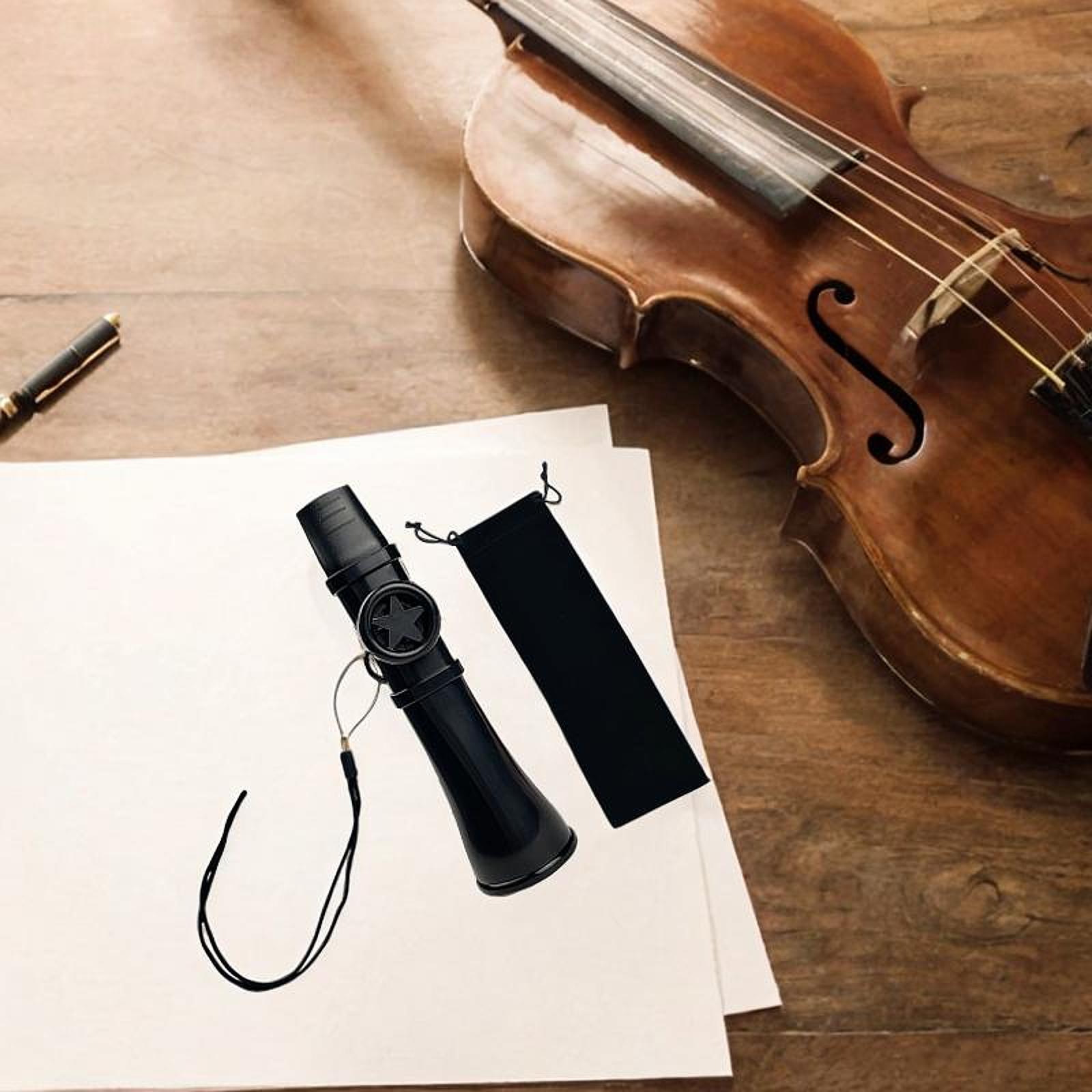 Musical Instrument Qin - Muziekinstrument Kazoo Fluit Draagbare ABS-materiaal opbergtas
