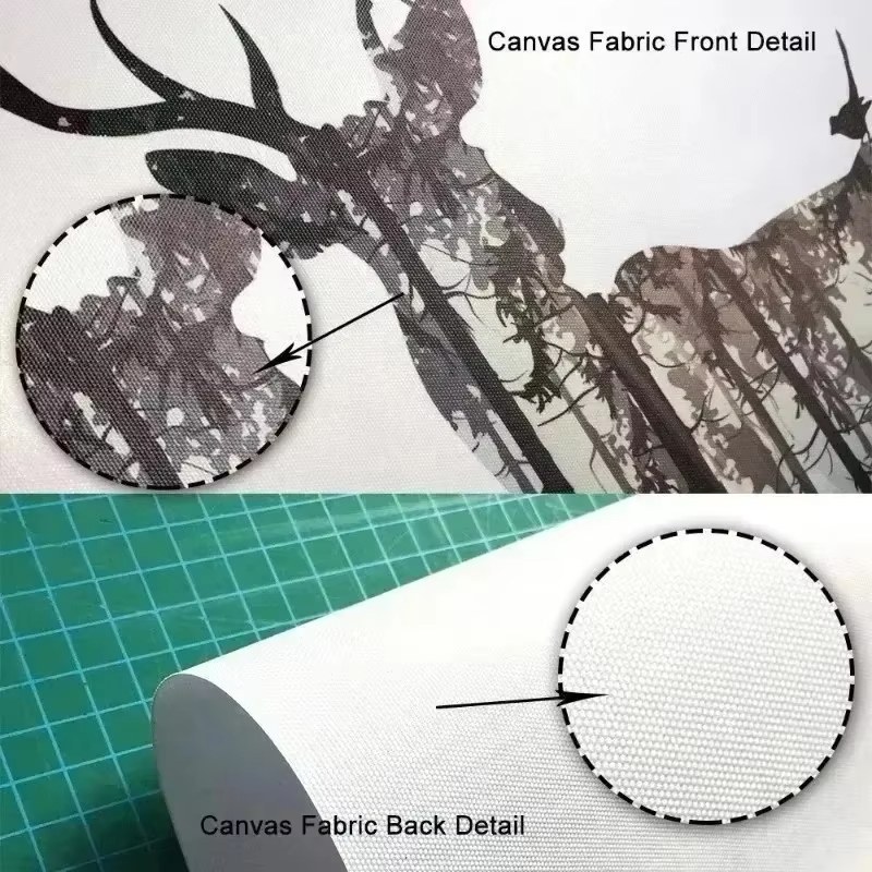 (Geen frame) Zwart-wit foto vi - Violin Musical Instrument recensie en prijs