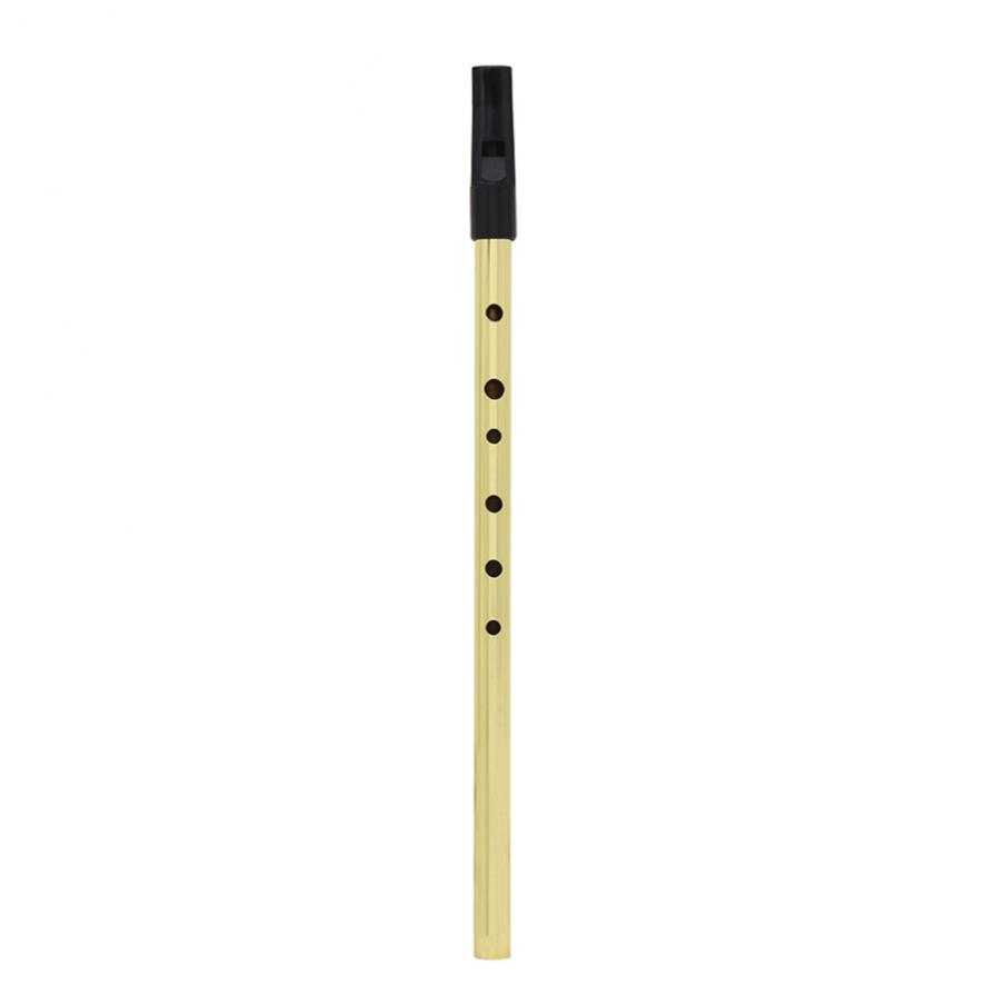 Ierse Fluitje Sopraan Fluit D  - Tin Whistle Flute recensie en prijs
