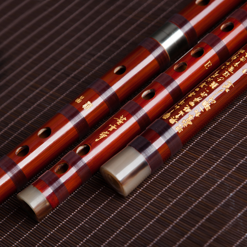 Dong Xuehua 8885 Bamboefluit P - Musical Instrument Sign recensie en prijs