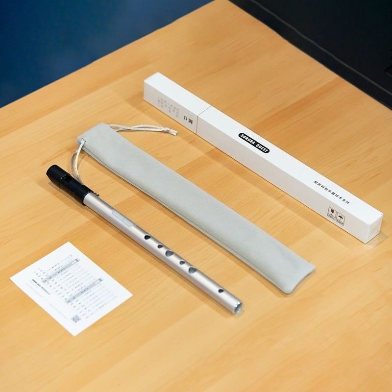 D Key 6 Hole Penny Whistle Met - Tin Whistle Flute recensie en prijs