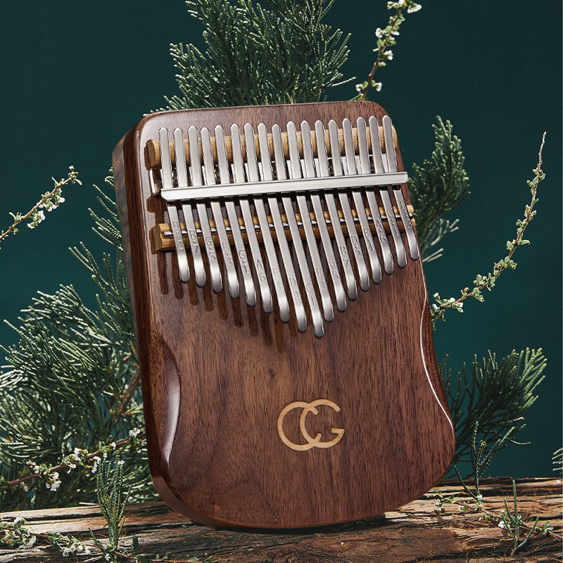 17 21 Key Thumb Piano Kalimba  - Musical Instrument For Beginners recensie en prijs
