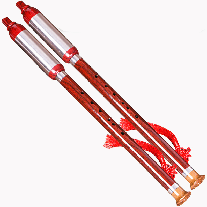 Verticale Bawu-fluit in F/G-to - Tin Whistle Flute recensie en prijs