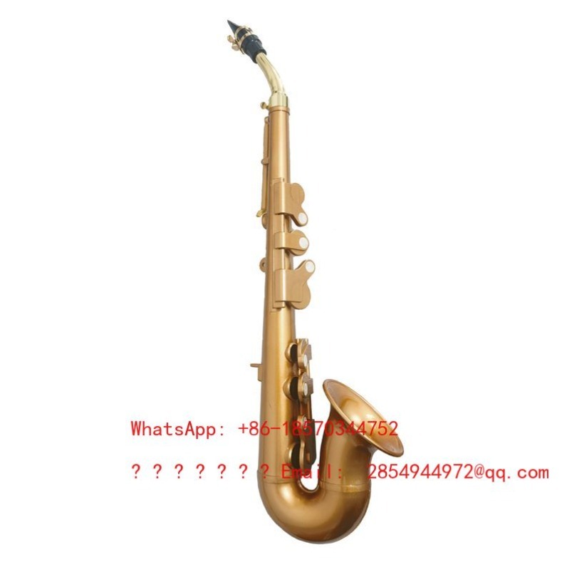 Hars-saxofoon muziekinstrument - Musical Instrument Easy To Learn For Adults recensie en prijs