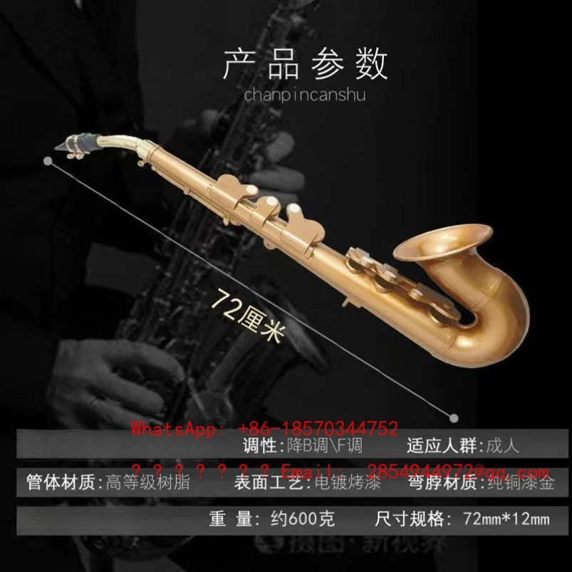 Hars-saxofoon muziekinstrument - Musical Instrument Easy To Learn For Adults recensie en prijs