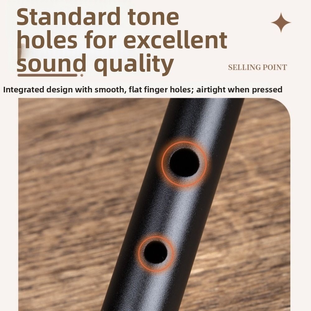 C/D Key Ierse Tinfluit 6 Gaten - Tin Whistle Flute recensie en prijs