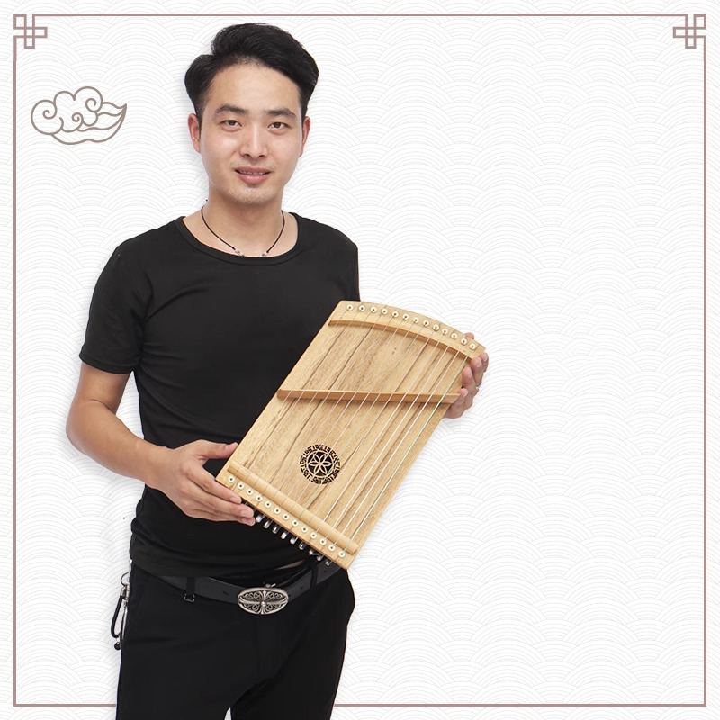 13 String Kleine Draagbare Min - Musical Instrument Oud recensie en prijs