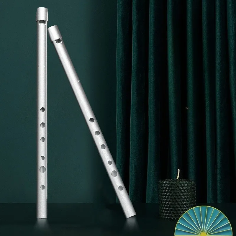 Fluitje voor basisschoolleerli - Tin Whistle Flute recensie en prijs