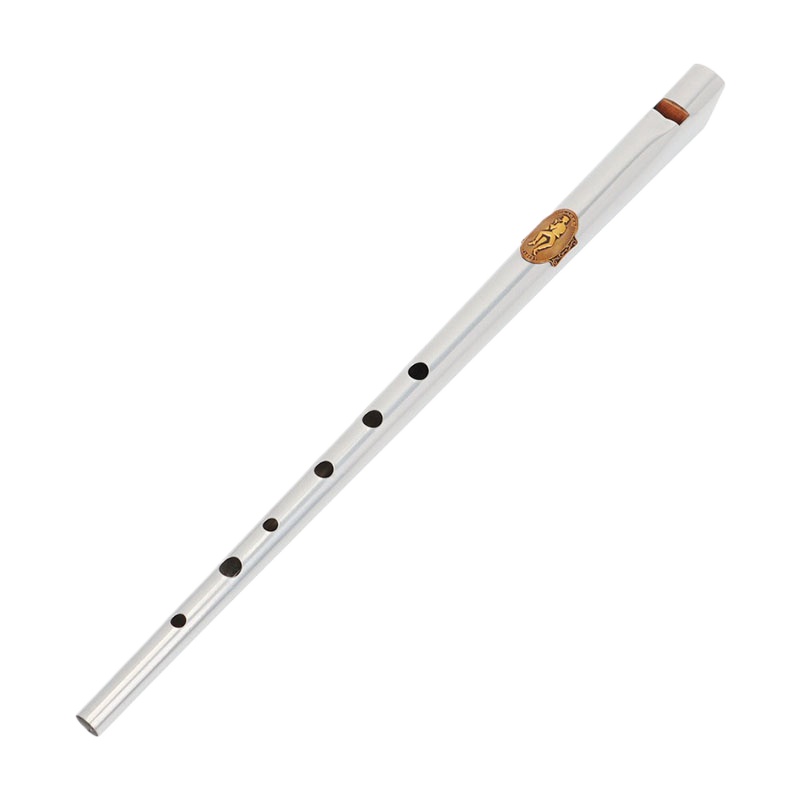 D/C Key Tin Whistle Student Be - Tin Whistle Flute recensie en prijs