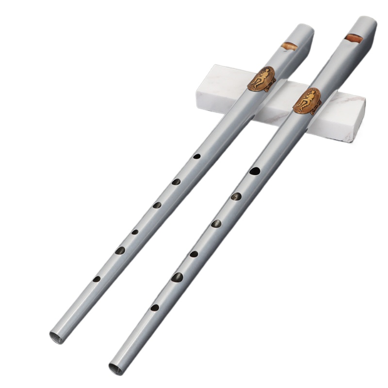 D/C Key Tin Whistle Student Be - Tin Whistle Flute recensie en prijs