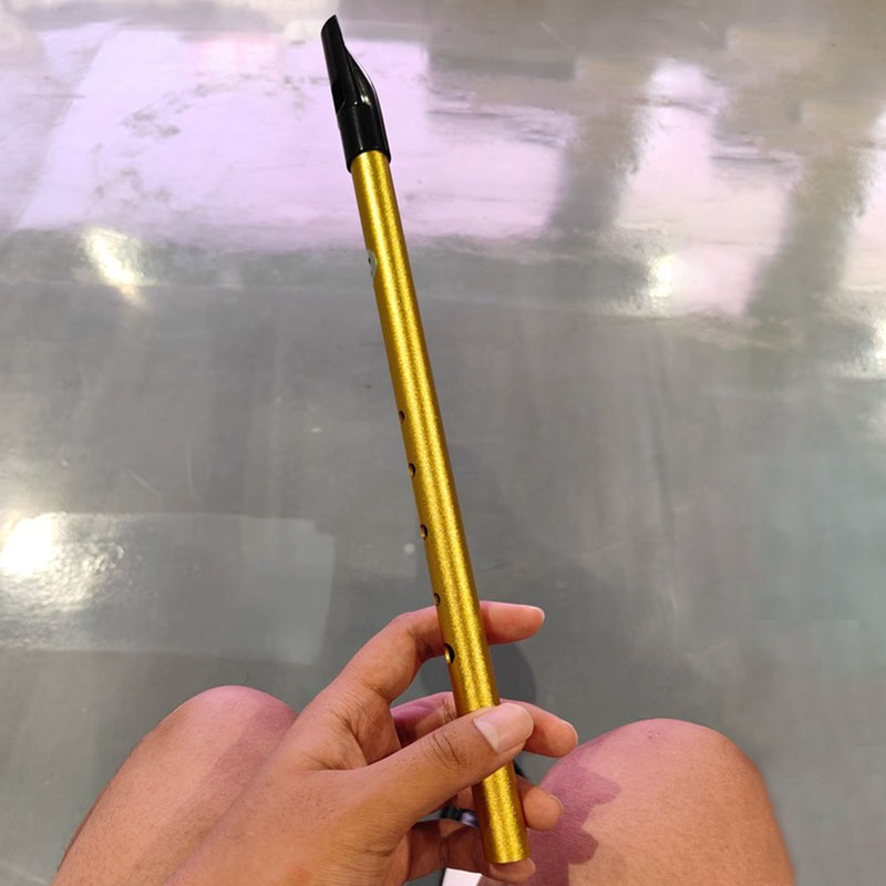 6-gaats Penny Whistle Student  - Tin Whistle Flute recensie en prijs