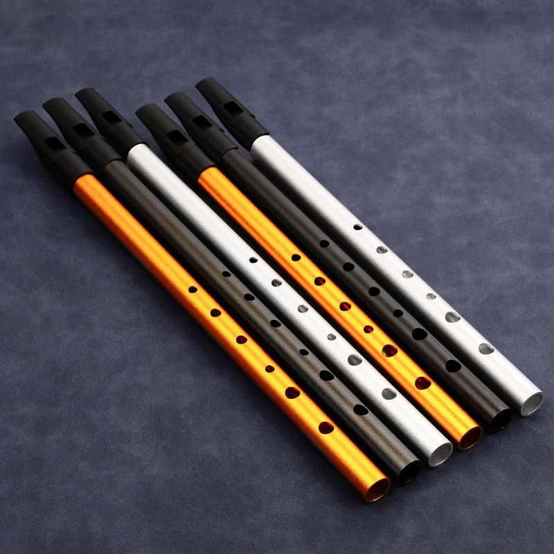 6-gaats Penny Whistle Student  - Tin Whistle Flute recensie en prijs